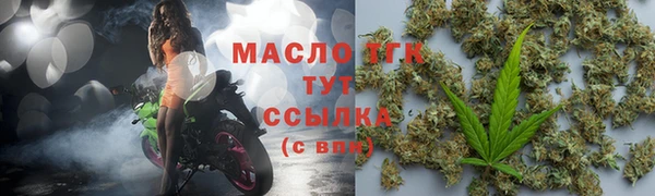 гидра Долгопрудный
