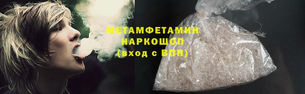 гидра Долгопрудный