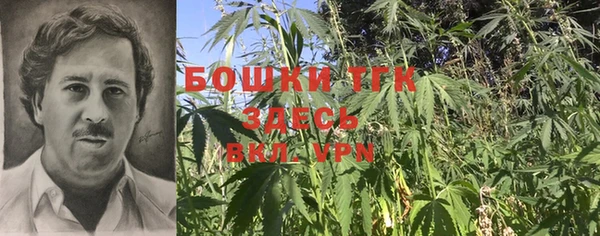 гидра Долгопрудный