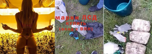 трава Невьянск