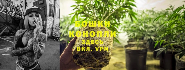 спиды Новый Уренгой