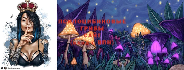 спиды Новый Уренгой