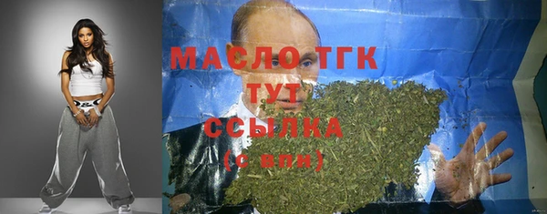 гидра Долгопрудный
