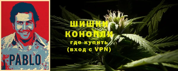 спиды Новый Уренгой