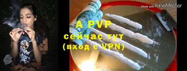 гидра Долгопрудный