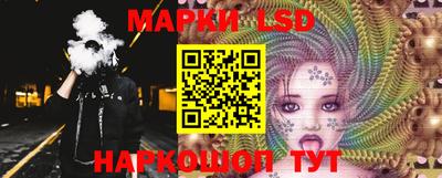 apvp Бийск