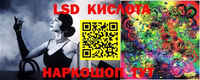 PSILOCYBIN Балаково