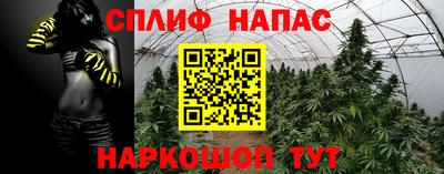 PSILOCYBIN Балаково