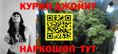 apvp Бийск