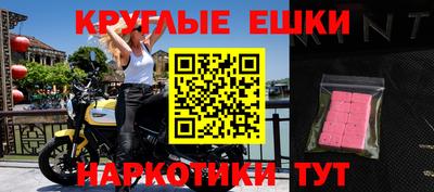 apvp Бийск