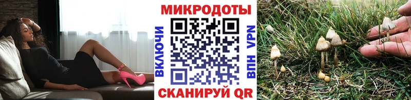 shop как зайти  Большой Камень  Галлюциногенные грибы мухоморы 
