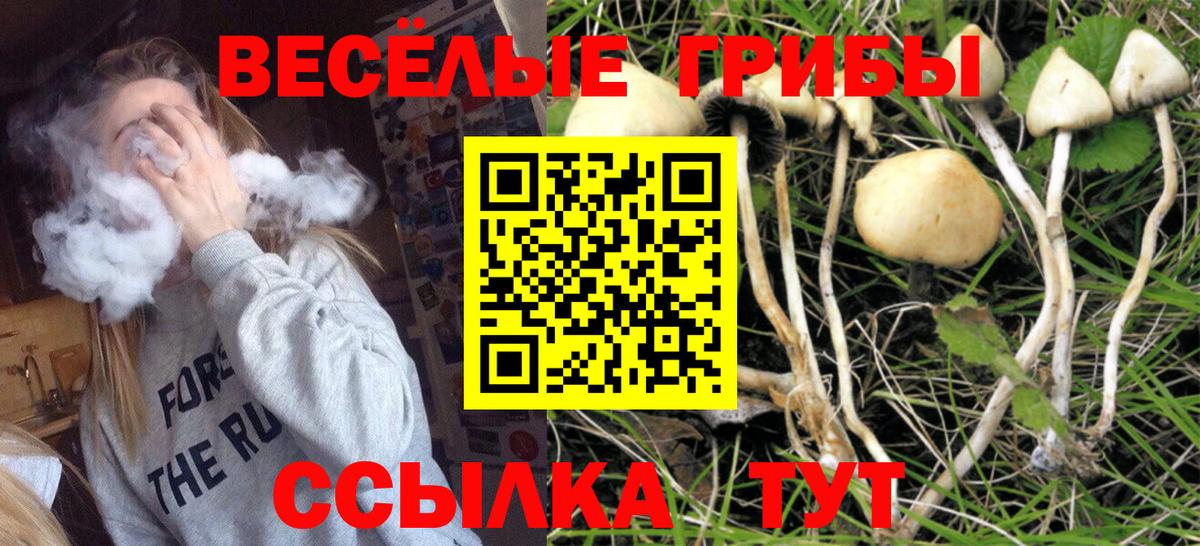 Галлюциногенные грибы прущие грибы Большой Камень