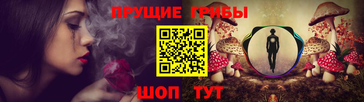 Галлюциногенные грибы Psilocybine cubensis  Большой Камень 