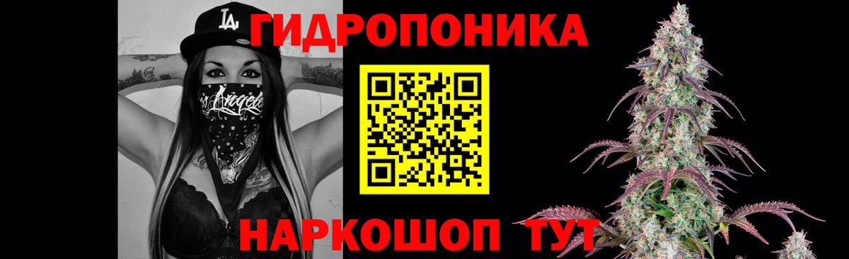 Бошки марихуана сатива  МАРИХУАНА White Widow  Канабис Ganja  Большой Камень  Шишки марихуана Ganja 